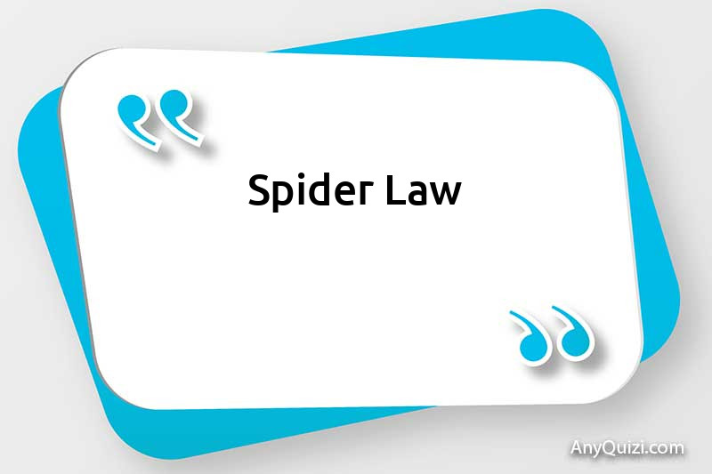  Spider Law